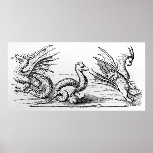 Poster Dragons (Devant)