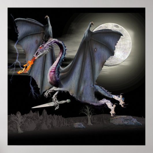 Poster Dragons (Devant)