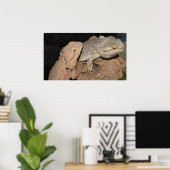 Poster Dragons barrés (Bureau à domicile)