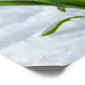 Poster Dragons de neige #1 Wall Art (Coin)