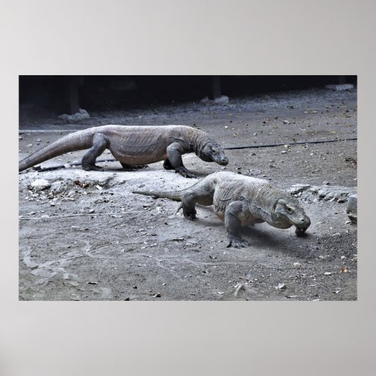 Poster Dragons de patrouille (Devant)