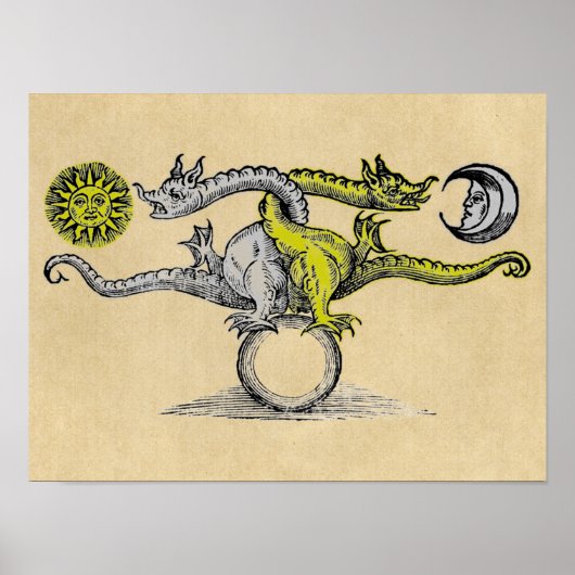 Poster Dragons magiques en or et en argent (Devant)