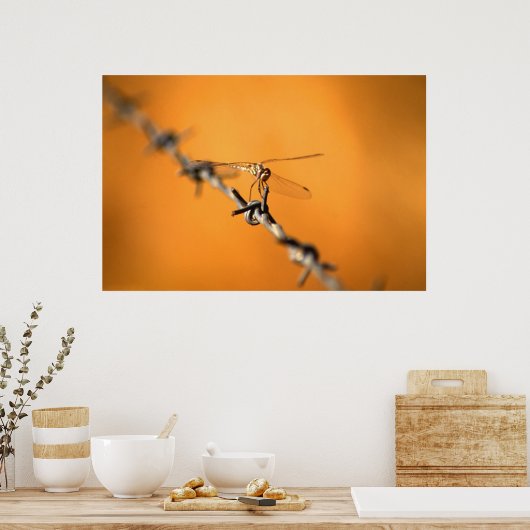 Poster Dragonwire (Cuisine)