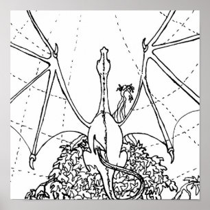 Poster - Drakenvleugels