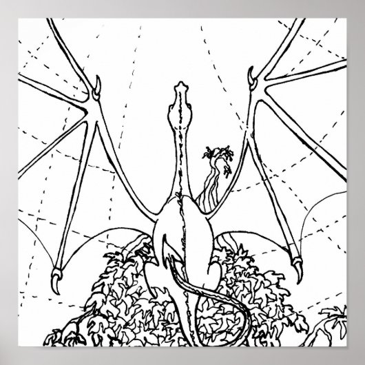 Poster - Drakenvleugels (Voorkant)