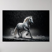 Poster Dramatic White Horse Galloping in Rain (Devant)