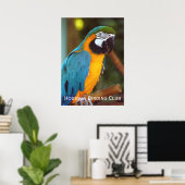 Poster Dramatique Macaw (Bureau à domicile)