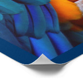 Poster Dramatique Macaw (Coin)