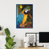 Poster Dramatique Macaw (Bureau à domicile)