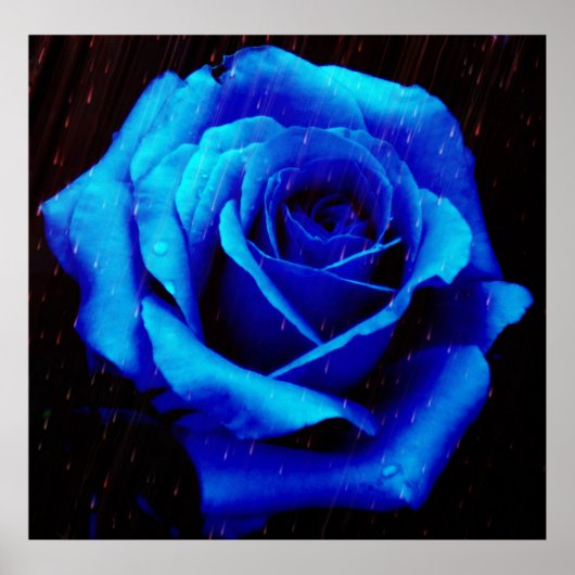 Poster Drame De L'Affiche Rose Bleu Imprimer (Devant)