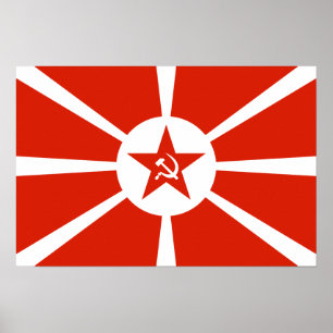 Poster Drapeau 1923 de marine