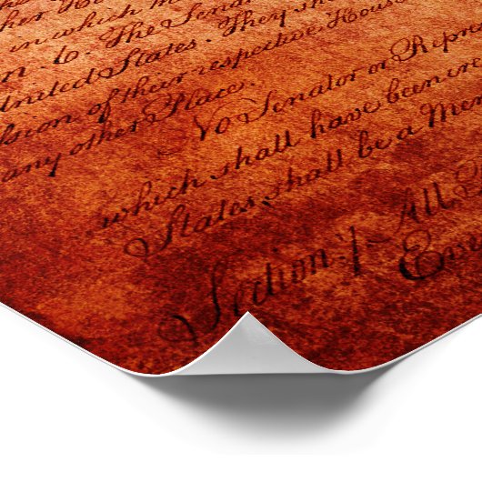 Poster Drapeau Alamo (Coin)