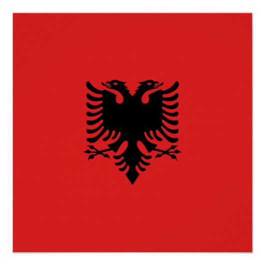 Poster Drapeau albanais avec aigle à deux têtes (Devant)