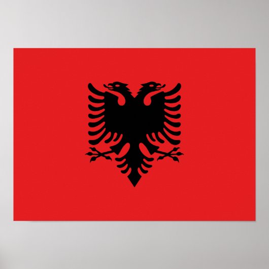 Poster Drapeau albanais patriotique (Devant)