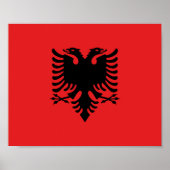 Poster Drapeau Albanie (Devant)