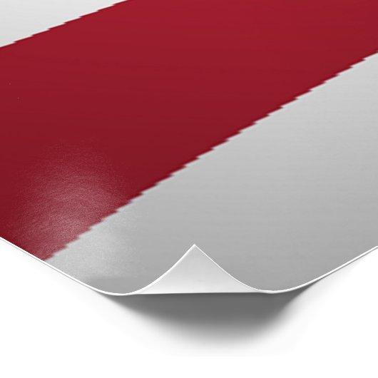 POSTER DRAPEAU AMÉRICAIN (Coin)