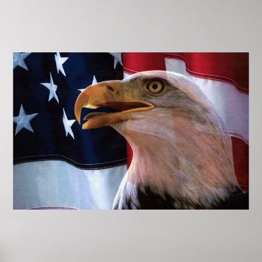 Poster Drapeau américain avec aigle chauve (Devant)