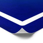 Poster Drapeau américain avec Flamant rose Cartoon-69681 (Coin)