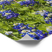 Poster Drapeau américain dans un champ de bleuets, (Coin)
