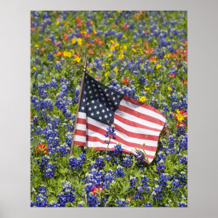 Poster Drapeau américain dans un champ de bleuets,