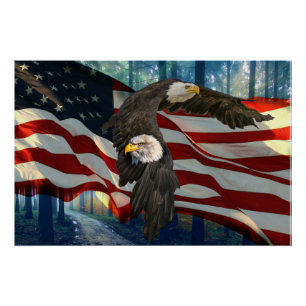 Poster Drapeau américain de l'aigle à tête blanche