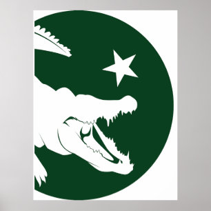 Poster Drapeau animal national pakistanais Crocodile