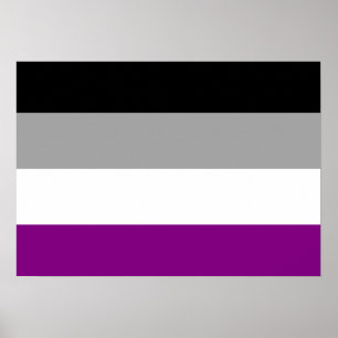 Poster DRAPEAU ASEXUAL ORIGINAL -.png