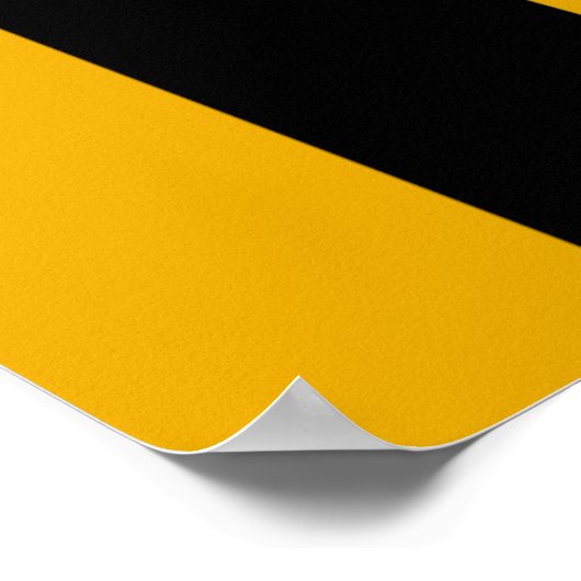 Poster Drapeau Baltimore (Coin)