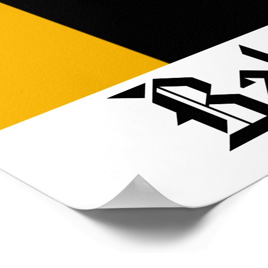 Poster Drapeau Baltimore (Coin)