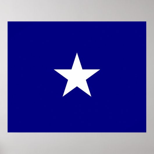 Poster Drapeau bleu Bonnie (Devant)