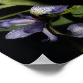 Poster Drapeau bleu Iris Fleur Abstraite (Coin)