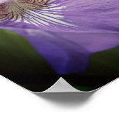 Poster Drapeau bleu violet Iris Fleur (Coin)