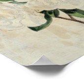 Poster Drapeau botanique vintage de Truce Azalea (Coin)