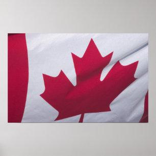 Poster Drapeau canadien.