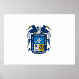 Poster Drapeau d'Aguascalientes