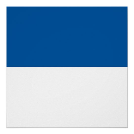 Poster Drapeau d'Assen (Devant)