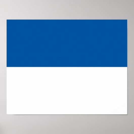 Poster Drapeau d'Assen (Devant)