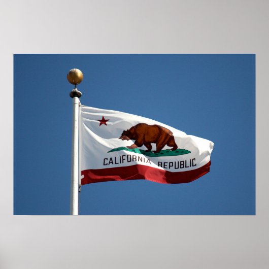 Poster drapeau de Californie (Devant)