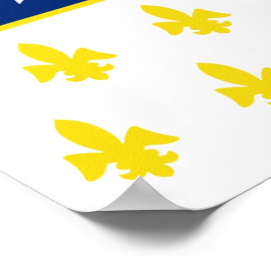 Poster Drapeau de Détroit (Coin)