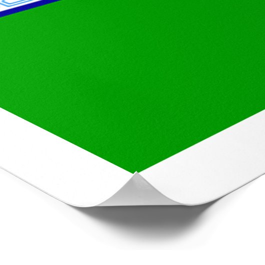 Poster Drapeau de Dublin (Coin)