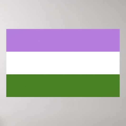Poster Drapeau de fierté genderqueer (Devant)