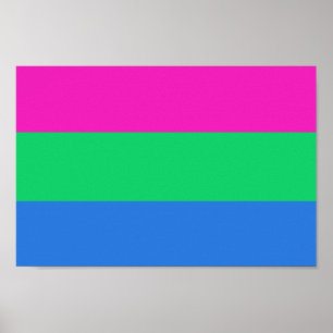 Poster Drapeau de fierté polysexuelle