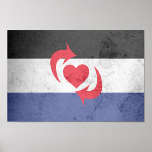 POSTER DRAPEAU DE FIERTE SWITCH