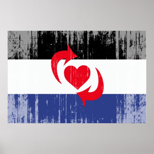 POSTER DRAPEAU DE FIERTE SWITCH (Devant)