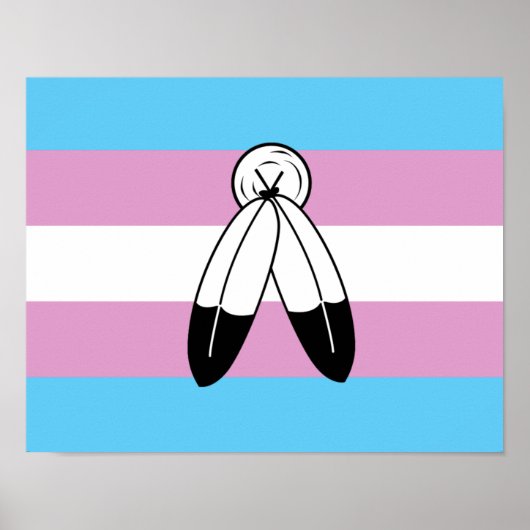 Poster Drapeau de fierté trans bispirituel (Devant)