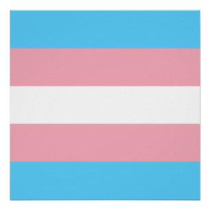 Poster Drapeau de fierté transgenre