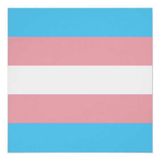 Poster Drapeau de fierté transgenre (Devant)