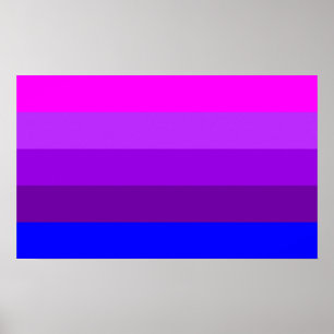 Poster Drapeau de fierté transgenre alternatif