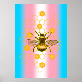 Poster Drapeau de fierté transgenre, Bee-live, L'amour es
