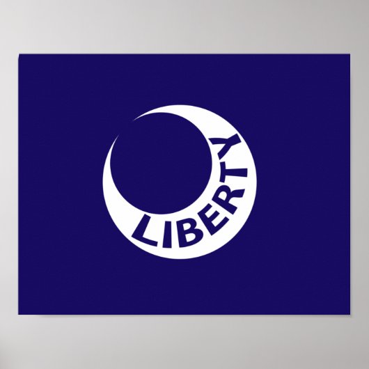 Poster Drapeau de Fort Moultrie, Caroline du Sud (Devant)